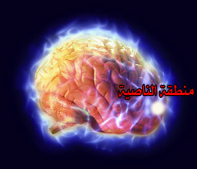 الإعجاز العلمي في القرآن الكريم ..صور حقيقية Electric_brain copy111